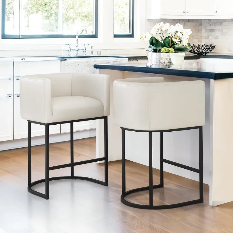 Counter Height Bar Stools Set of 2